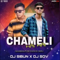 A CHAMELI HAI HAI (SAMBALPURI DANCE MIX) DJ SOV X DJ SIBUN