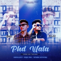 PHD WALA (EDM CG TAPORI) DJ DIBYA JEET X RAJU DKL X SPARK OFFICIAL