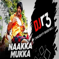 NAAKKA MUKKA (NAUGHTY BASS MIX) DJ R3