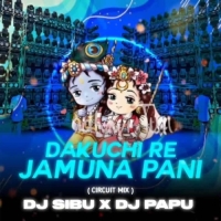 Dakuchi Re Jamuna Pani (Circuit Mix) Dj Sibu Nayagarh X Dj Papu