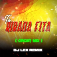 RIBAN FITA (CIRCUIT MIX) DJ LEX