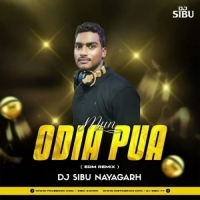 Mun Odia Pua Bhari Swabhimani (Edm Remix) Dj Sibu Naygarh