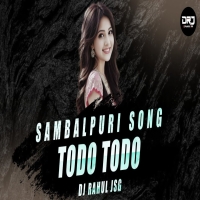 BHAL PAUCHHUN TODO TODO (TAPORI EDM MIX) DJ RAHUL JSG