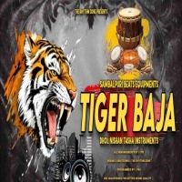 Tiger Baja 2025 (Sambalpuri Dancing Rocking Theme Dhol Nishan Tasha Instrument)