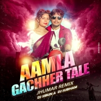 AAMLA GACHHER TALE (JHUMAR RMIX) DJ SUBHAM ND DJ SIBUN