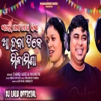 Sare Gama Padha Nisha Aa Haba Tike Milamisha (New Odia Dance Song) Dj Lalu Official