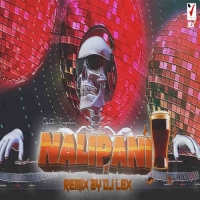 Nali Pani Ft Human Sagar (Trance Mix) Dj Lex