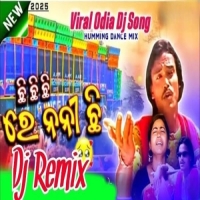 Chi Chi Re Nani Viral Odia Song (Fadu Tapori Style Mix) Dj Aju Basudevpur