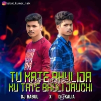 Tu Mate Bhuli Ja (Odia Ut Rhythm Mix) Dj Babul X Dj Kalia