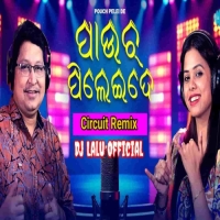 Pouch Pelei De (Slow Circuit) Dj Lalu Official Remix Ft Abhijit Majumdar
